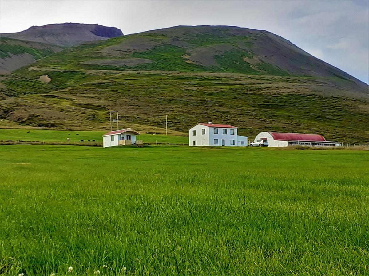 Skarð Guesthouse Saudarkrokur Extérieur photo