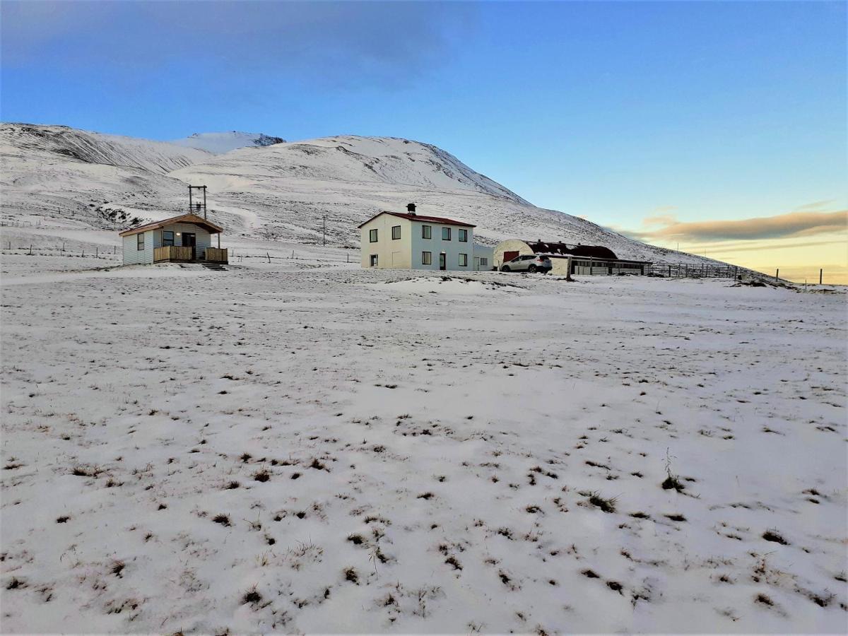 Skarð Guesthouse Saudarkrokur Extérieur photo