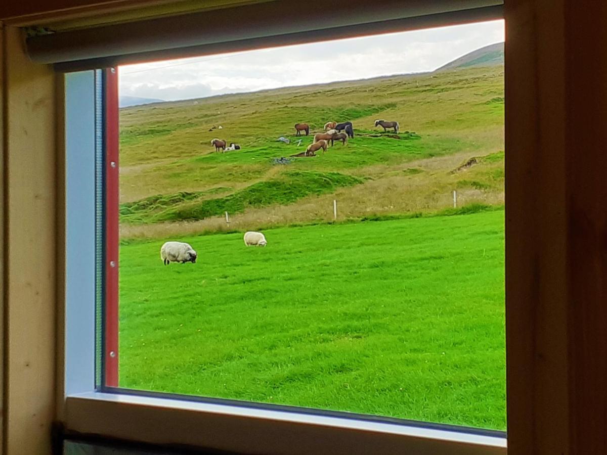 Skarð Guesthouse Saudarkrokur Extérieur photo